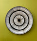 Kiwi Plates