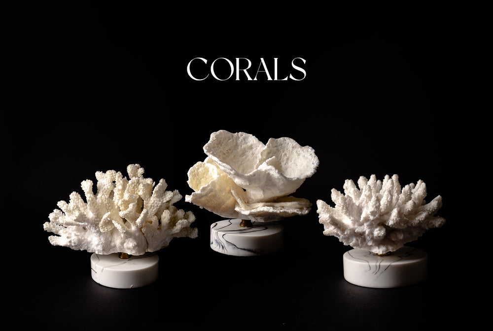 Home Accessories Pakistan Buy Online Birc A Brac Co. Bric A Brac